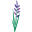 Nova Scotia Organics CA Icon