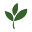 Healthy Care Icon