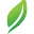 Grati Tea Icon