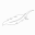 Touchofafeather Icon