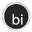 Business Informatics Icon