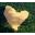 Vielu Body Butter Icon
