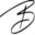 Bergio Icon