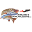 Musky Innovations Icon