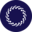 Superluminal Icon