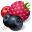 Rabbit Ridge Berry Farm Icon