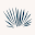 Coro Cora Icon