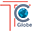 TC Globe Icon