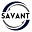 Savant Solutions Icon