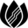 Lotus Labs Icon