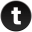 Turbosite Icon