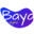 Baya Digital Icon