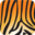 AssetTiger Icon
