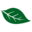 Lucky Leaf Icon