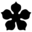 Image Variations Icon