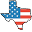 TexanSaddles.com Icon