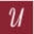 Unichi Wellness Icon