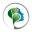 Burlington Oral & Facial Surgery Center Icon