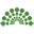 Irishrep Icon