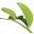 Paradise Pantry Icon