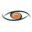 Tiger Team Consulting Icon