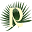 Romafolli Icon
