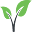 Software Verde Icon