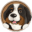 Bernie's Best Icon