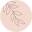 Casia Home Icon