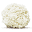 Sustainably Yours Icon