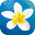 HawaiiActivities.com Icon