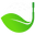 Clean Green Golf Balls Icon