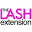The Lash Extension Icon