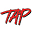 Total Auto Pros Icon