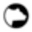 Explorer Bear Icon