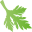 Parsley Box Icon
