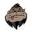 BeardedApes Icon