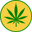 Cannooba Icon