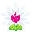 Winterbloom Icon