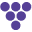 Grape Leads Icon