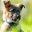 Smokey Mountain Feed and Pet Supply Icon