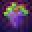 GrapeGPT Icon