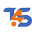 Team4Solution Icon