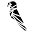 Greyparrot Icon