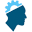 NeuroSoph Icon