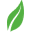 Bloom & Grow Icon