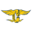 Caerus Strength Icon