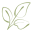 Summit Natural Wellness Icon