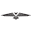 Corvette America Icon