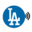 LA Smart Home Systems Icon